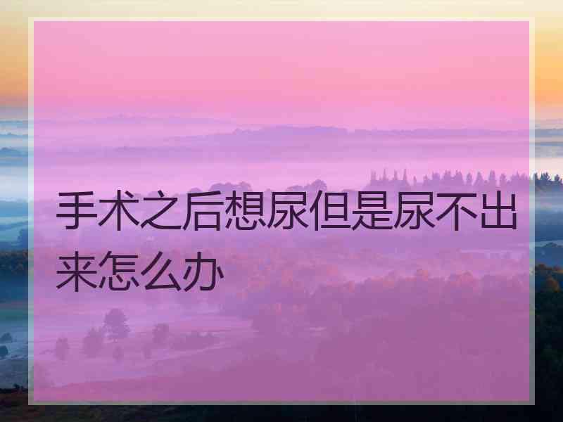 手术之后想尿但是尿不出来怎么办