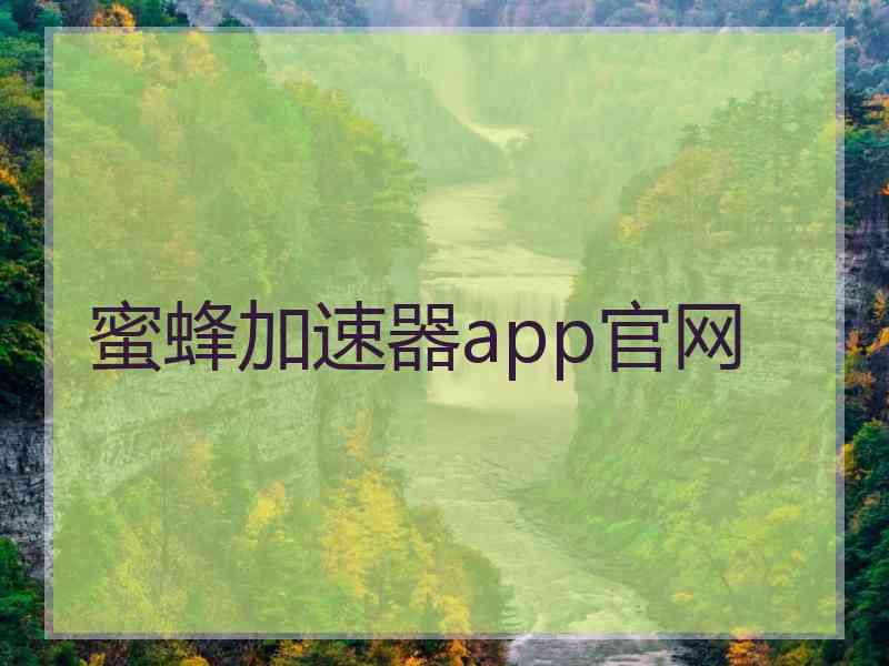 蜜蜂加速器app官网