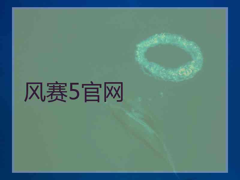 风赛5官网