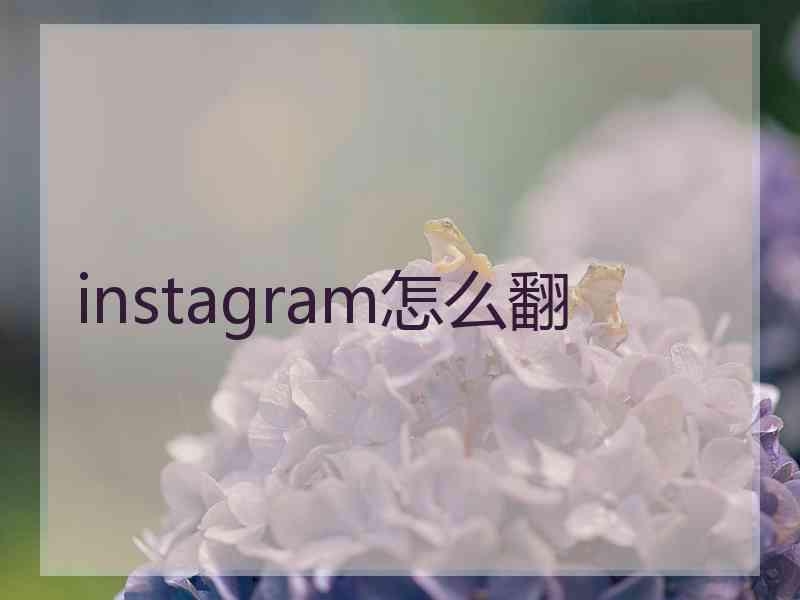 instagram怎么翻