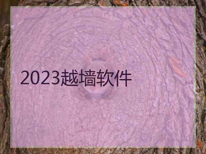 2023越墙软件