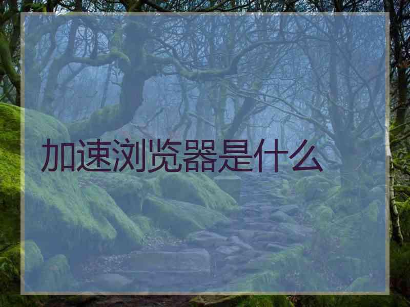 加速浏览器是什么