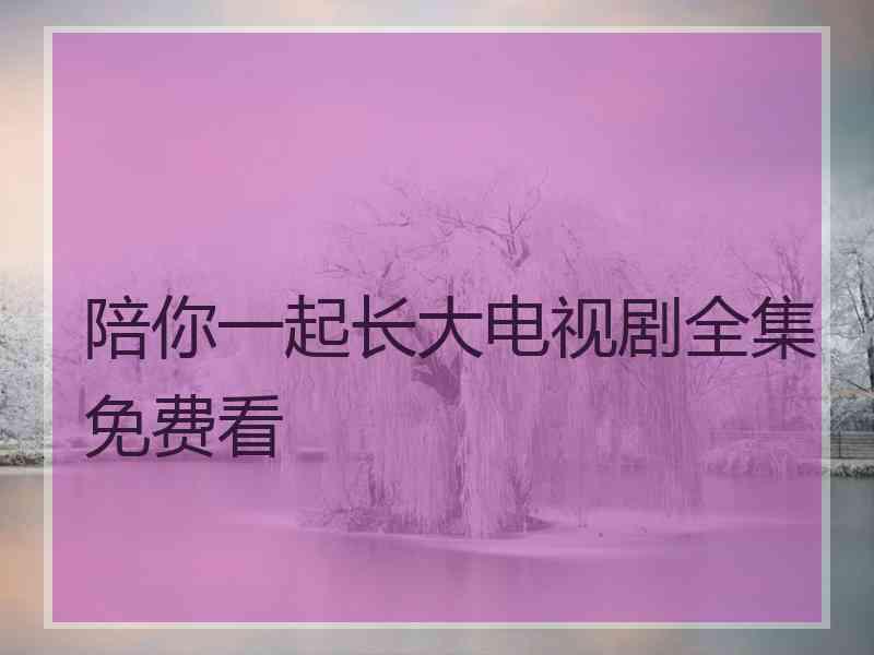 陪你一起长大电视剧全集免费看