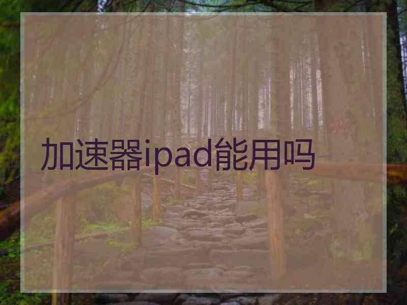 加速器ipad能用吗