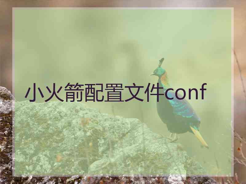 小火箭配置文件conf