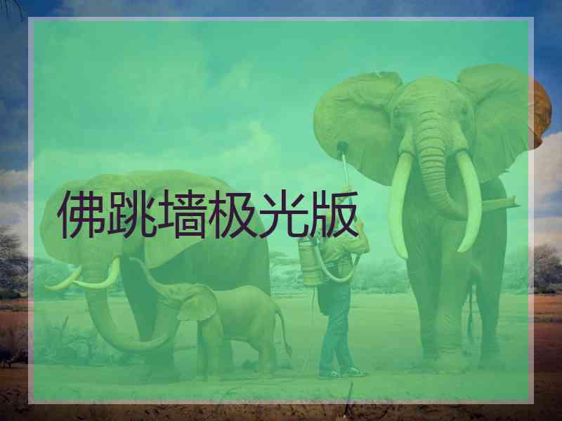 佛跳墙极光版