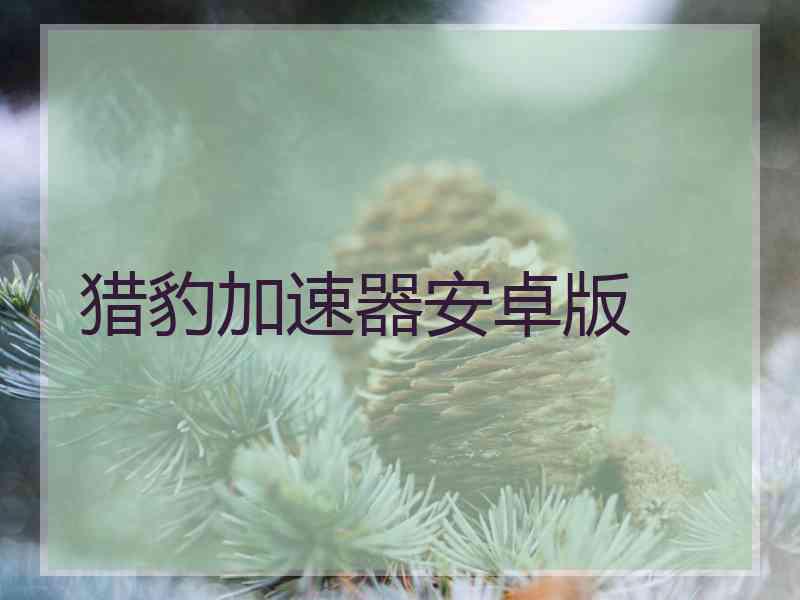 猎豹加速器安卓版