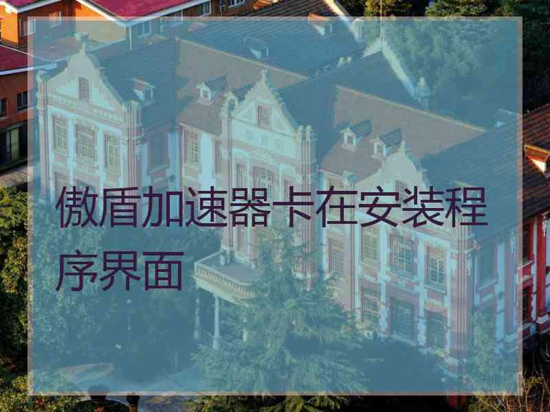 傲盾加速器卡在安装程序界面