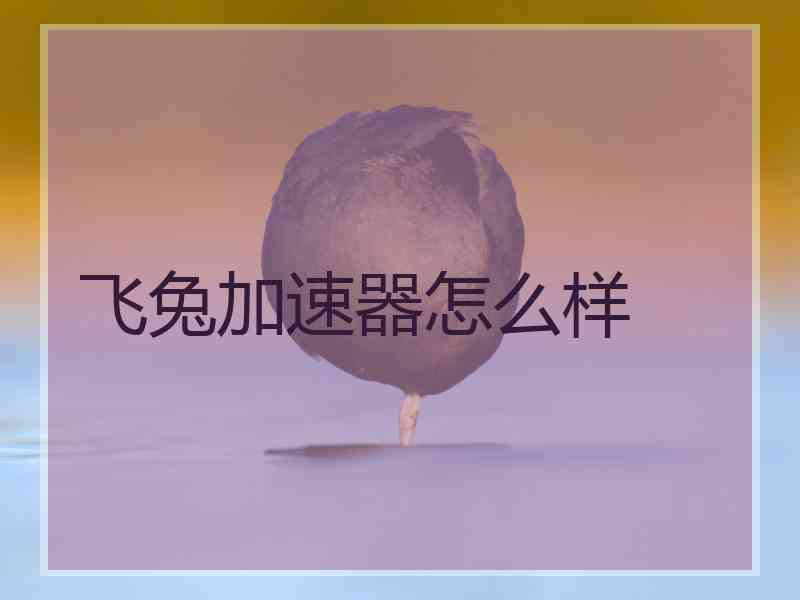 飞兔加速器怎么样