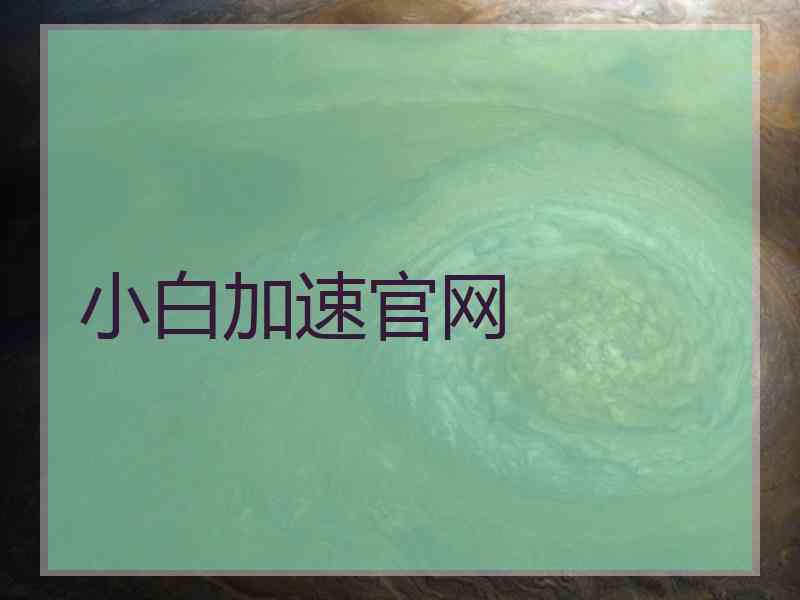 小白加速官网