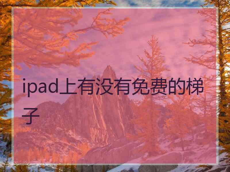 ipad上有没有免费的梯子