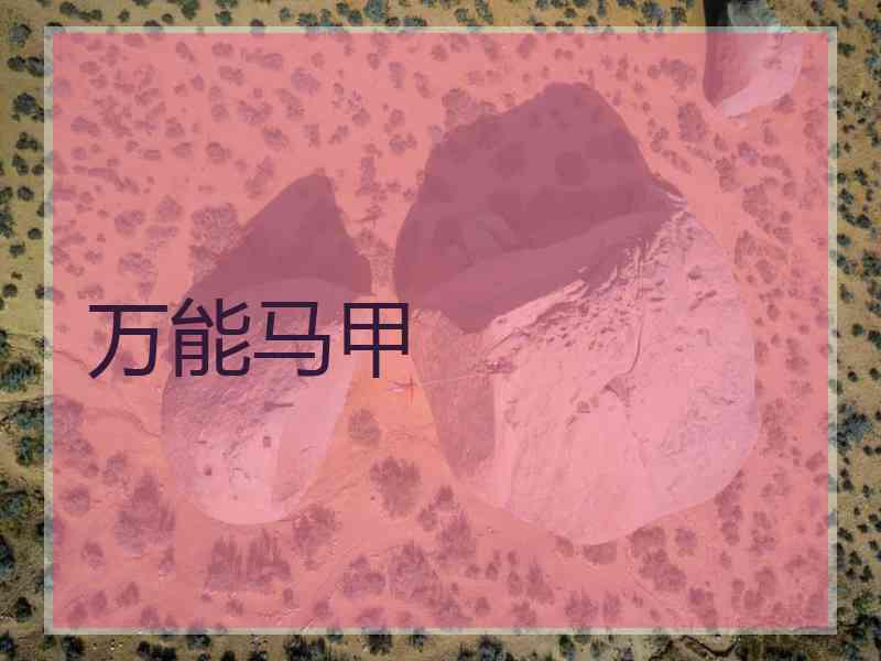 万能马甲