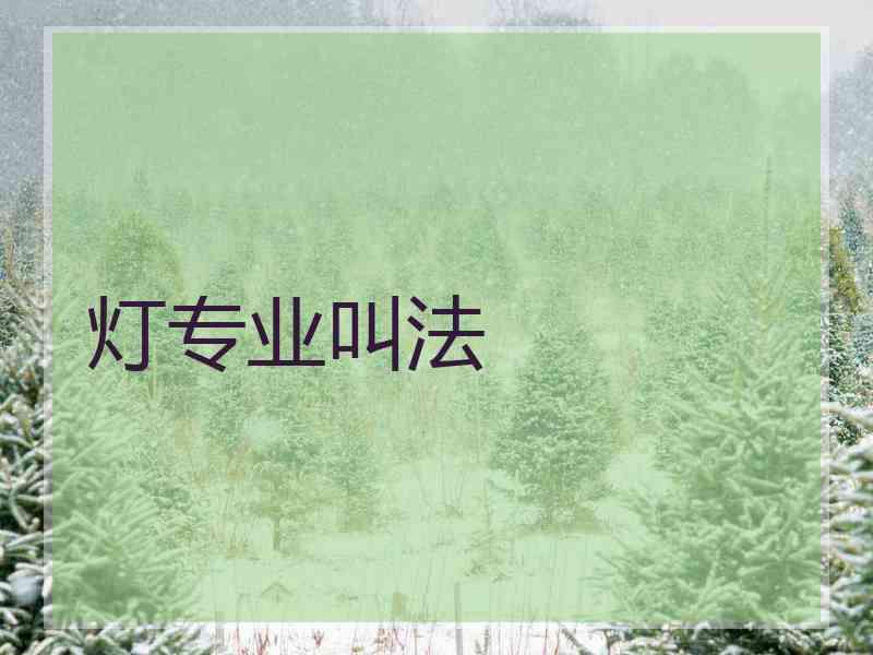 灯专业叫法