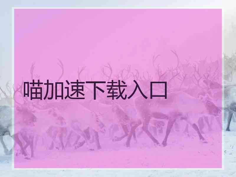 喵加速下载入口