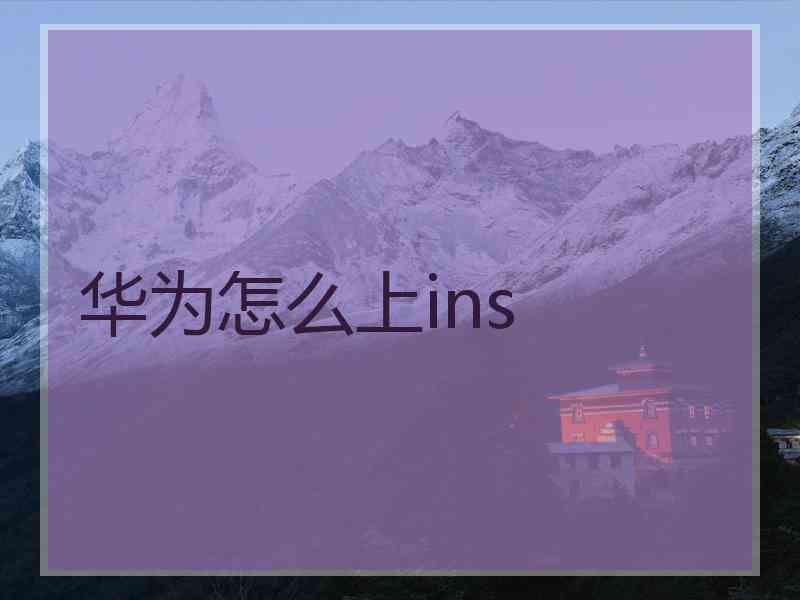 华为怎么上ins