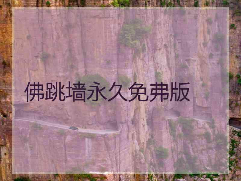 佛跳墙永久免弗版