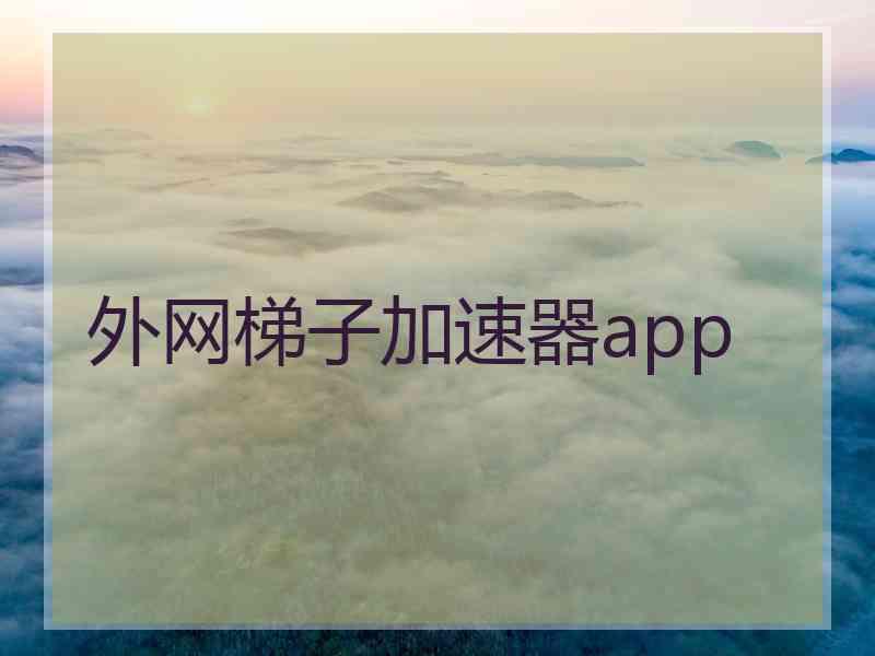 外网梯子加速器app