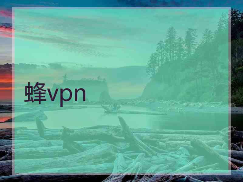 蜂vpn