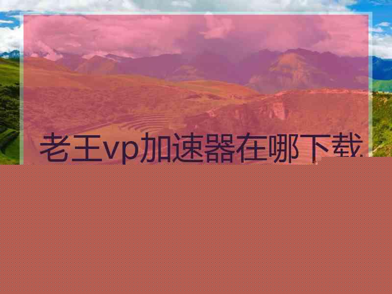 老王vp加速器在哪下载