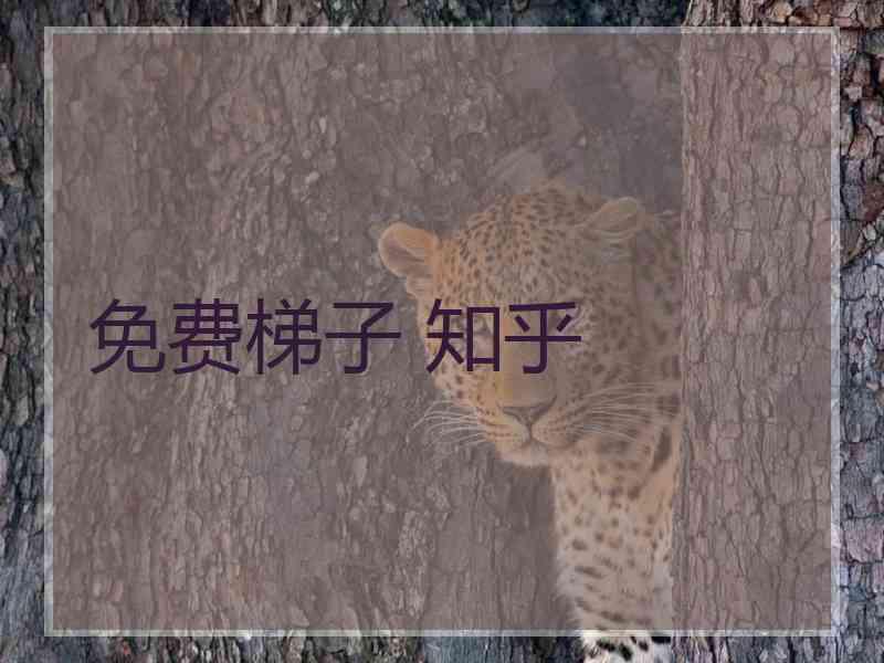免费梯子 知乎