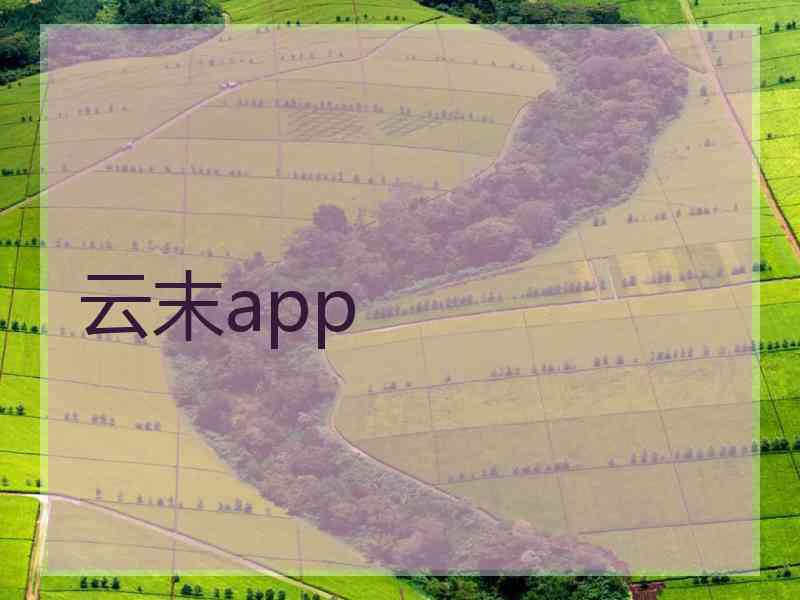 云末app
