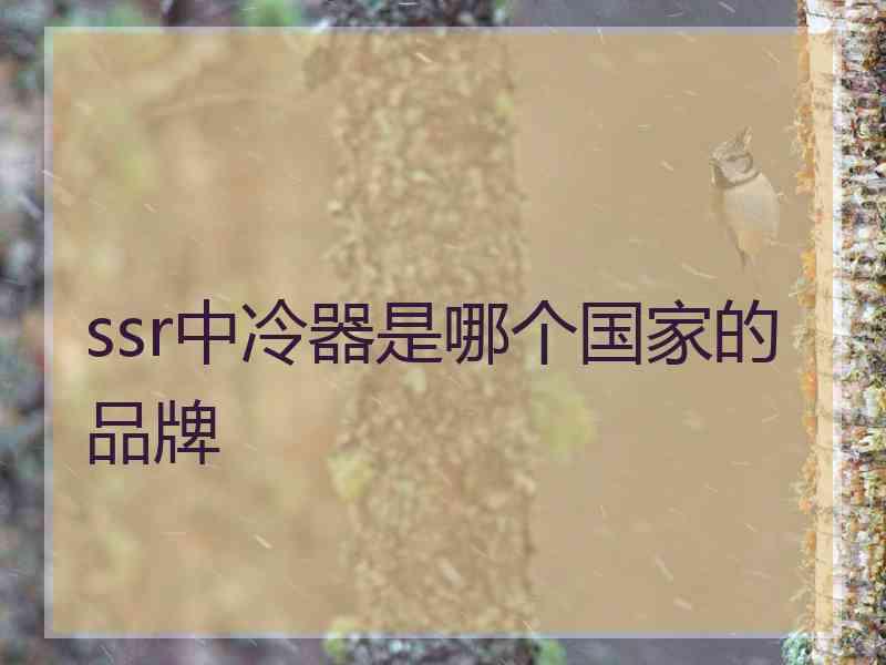 ssr中冷器是哪个国家的品牌
