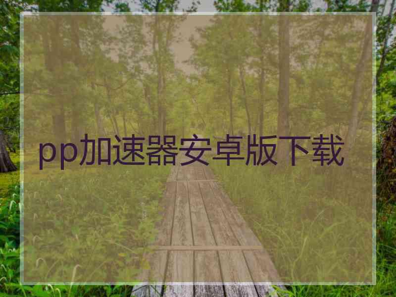 pp加速器安卓版下载