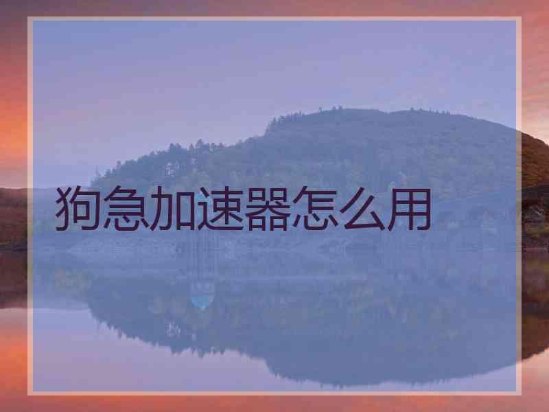 狗急加速器怎么用