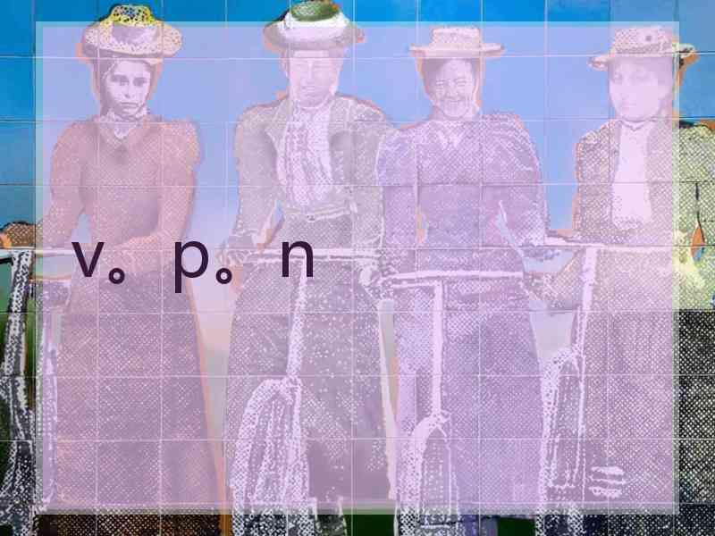v。p。n