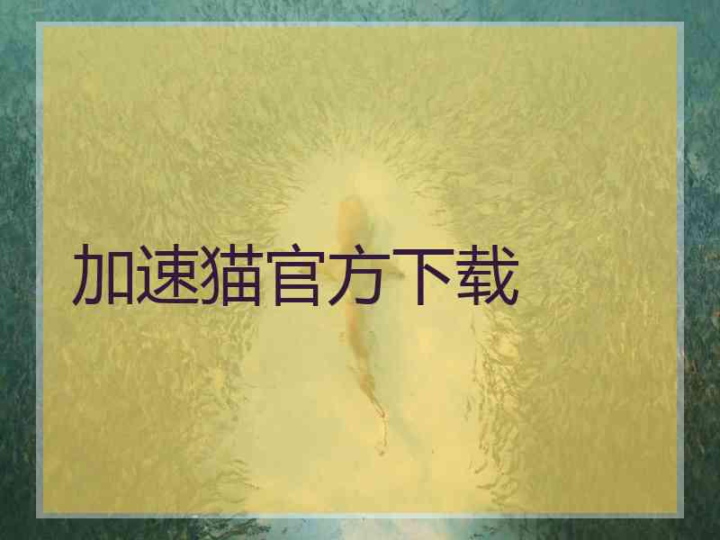 加速猫官方下载