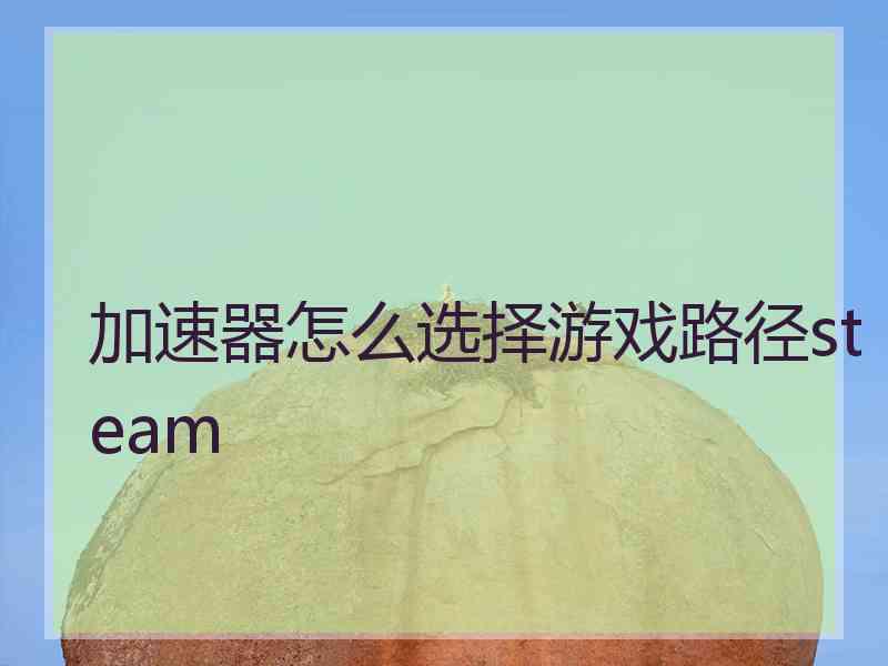 加速器怎么选择游戏路径steam
