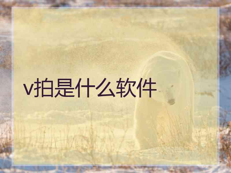 v拍是什么软件