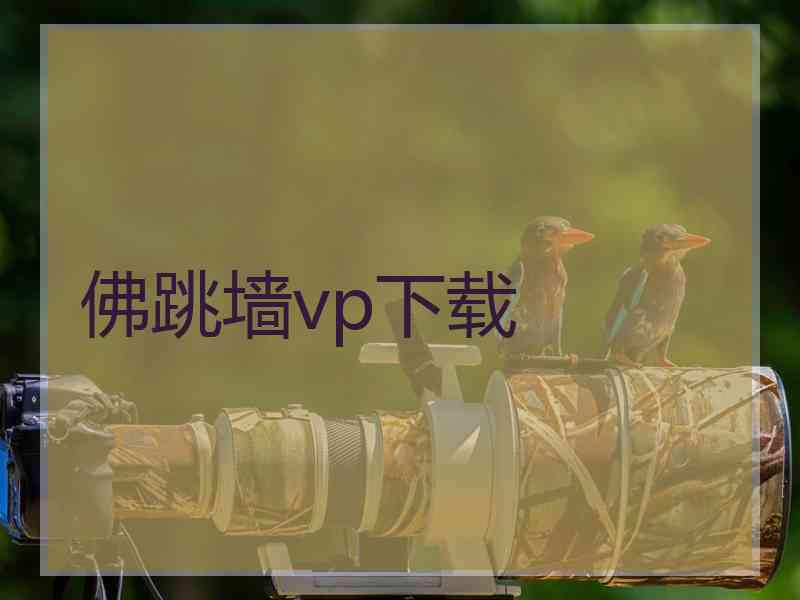 佛跳墙vp下载