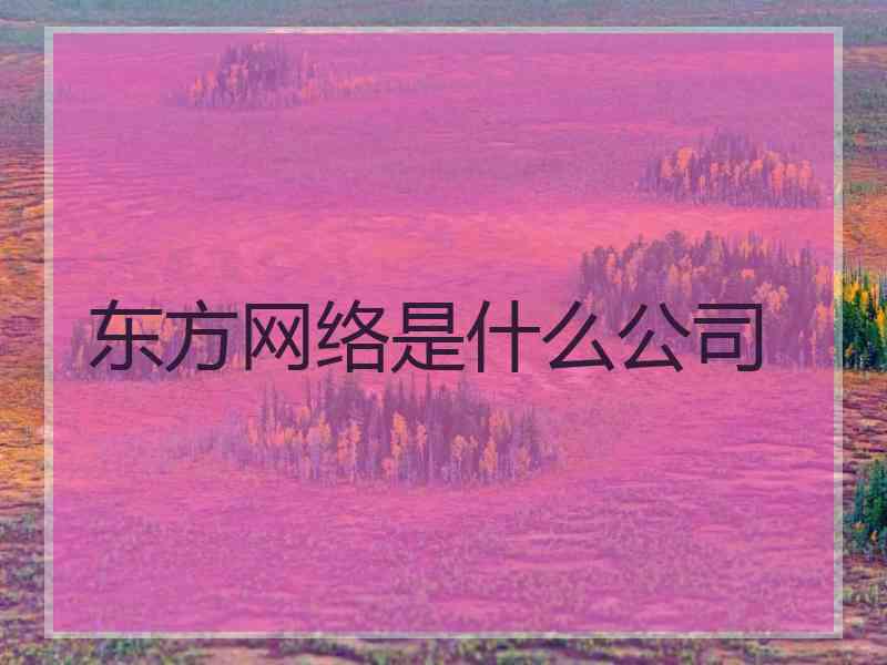 东方网络是什么公司