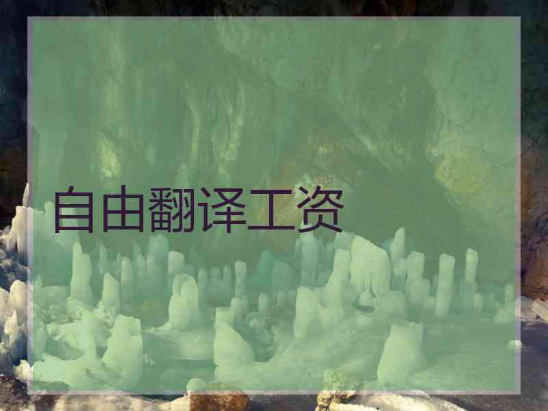 自由翻译工资