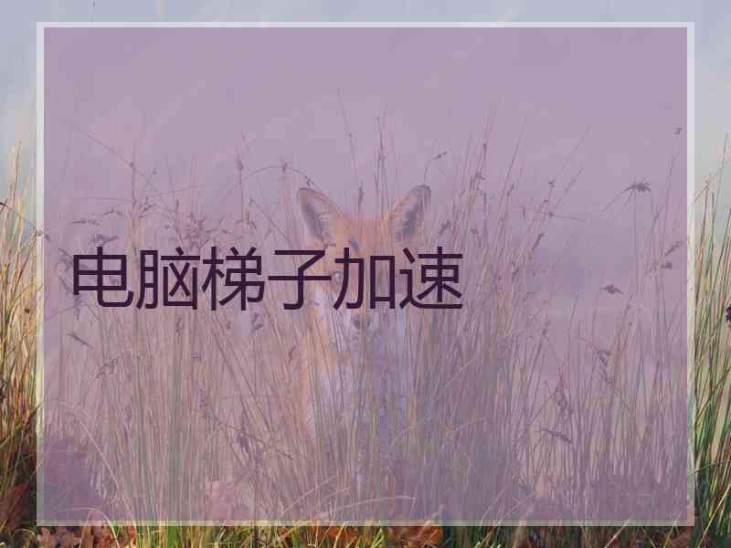 电脑梯子加速