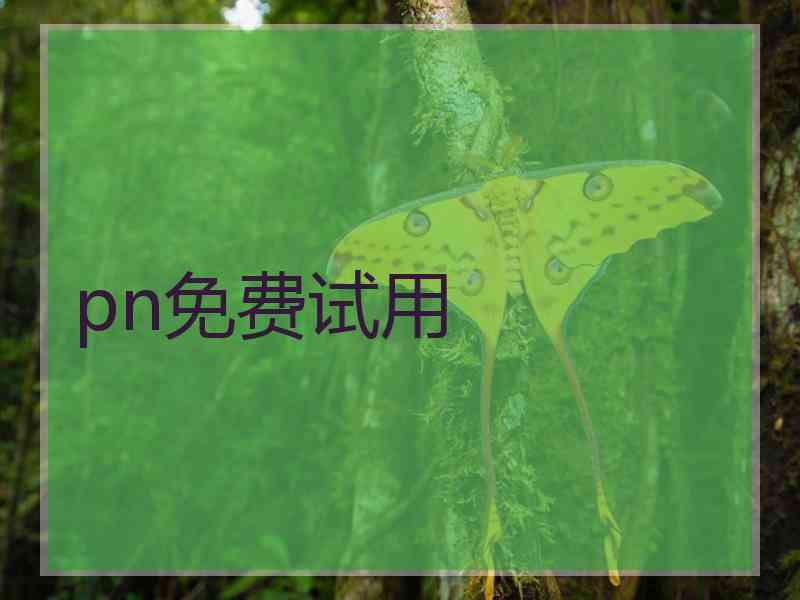 pn免费试用