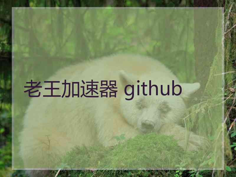 老王加速器 github