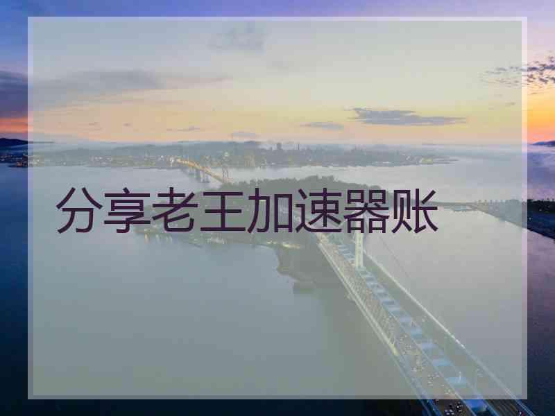 分享老王加速器账