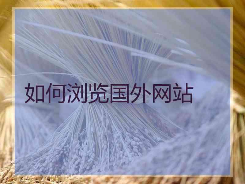 如何浏览国外网站