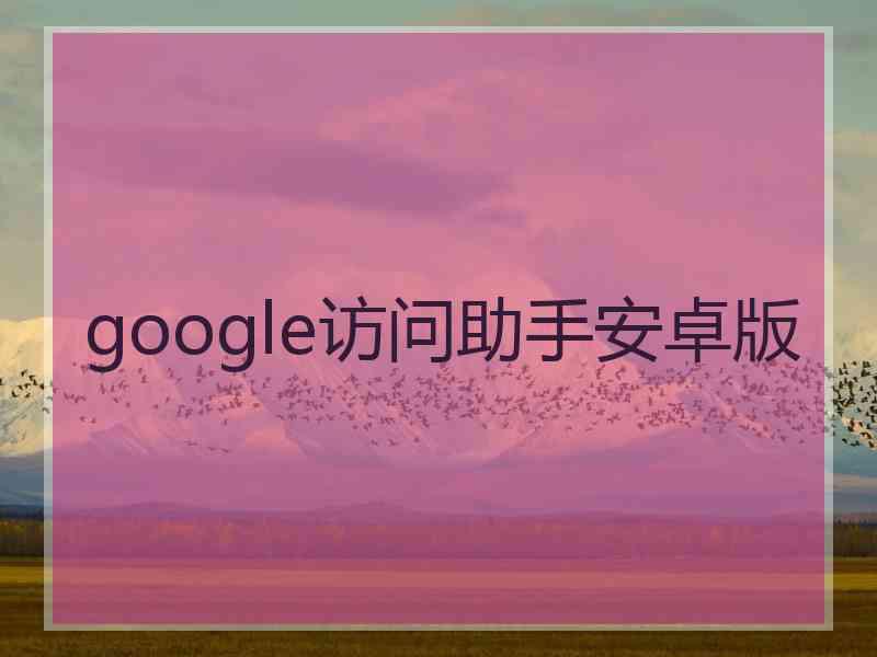 google访问助手安卓版