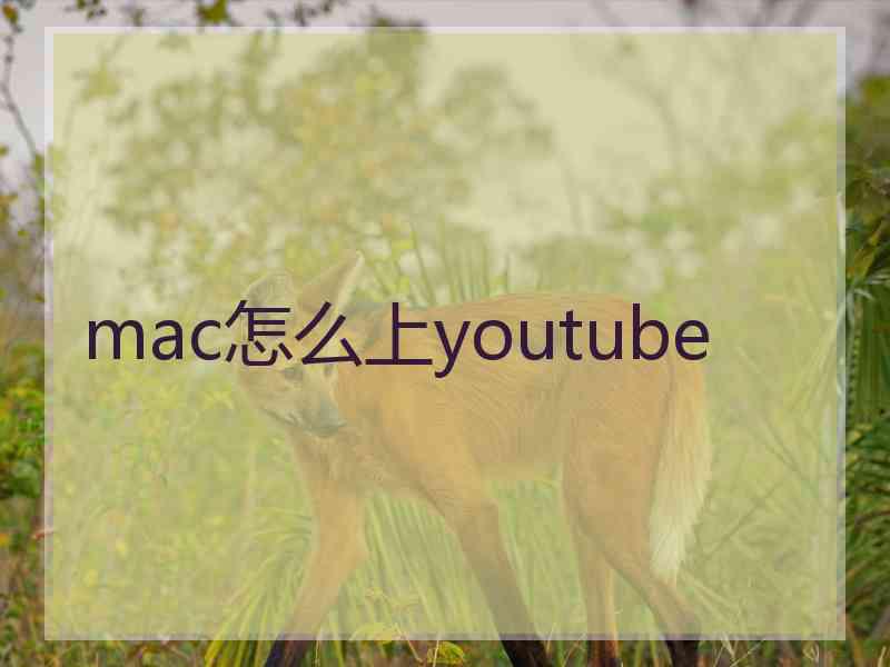 mac怎么上youtube