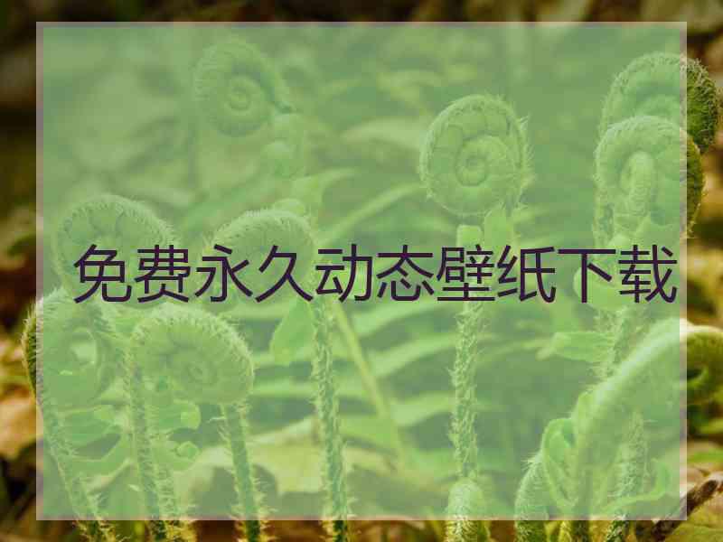 免费永久动态壁纸下载