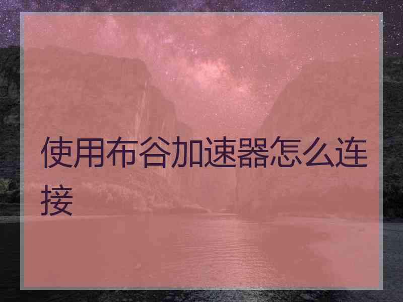 使用布谷加速器怎么连接