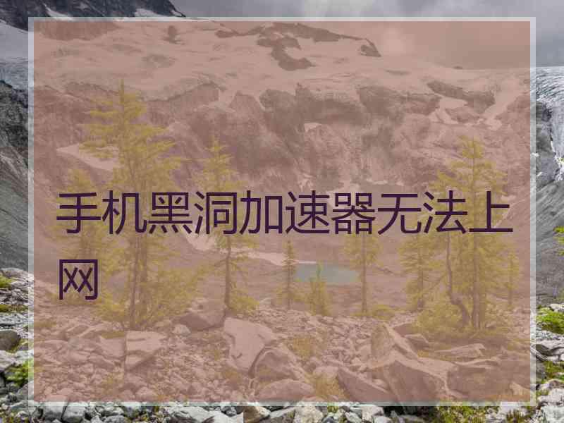手机黑洞加速器无法上网