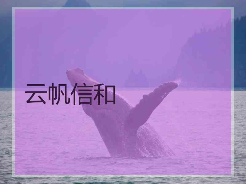 云帆信和