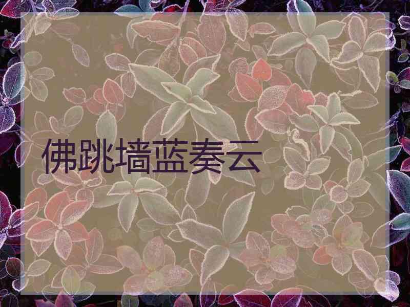 佛跳墙蓝奏云