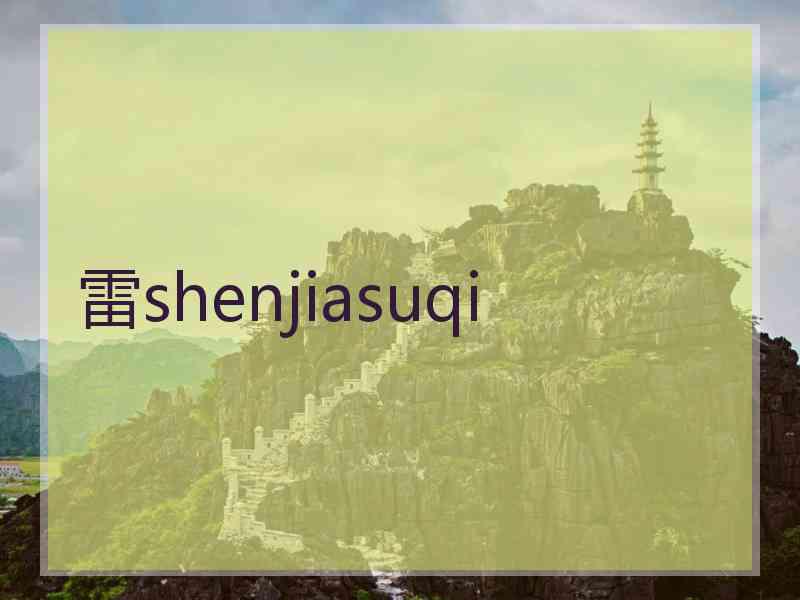 雷shenjiasuqi