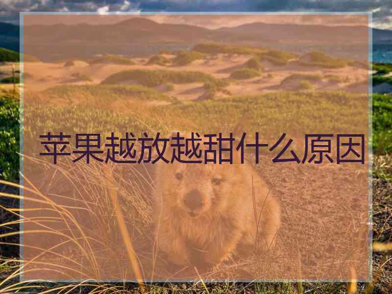 苹果越放越甜什么原因