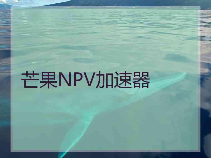 芒果NPV加速器